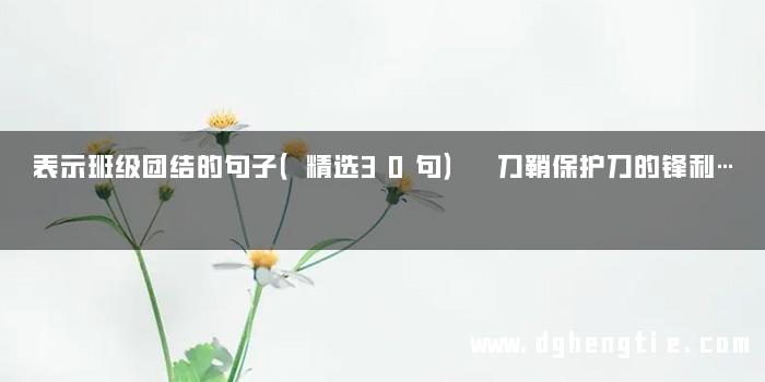 表示班级团结的句子（精选30句） 刀鞘保护刀的锋利…